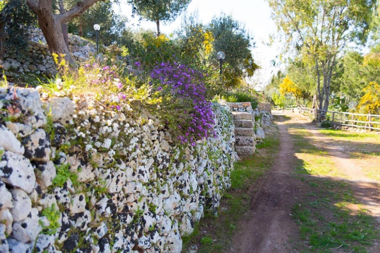 Residencefusaro Pajare سبيكيا المظهر الخارجي الصورة