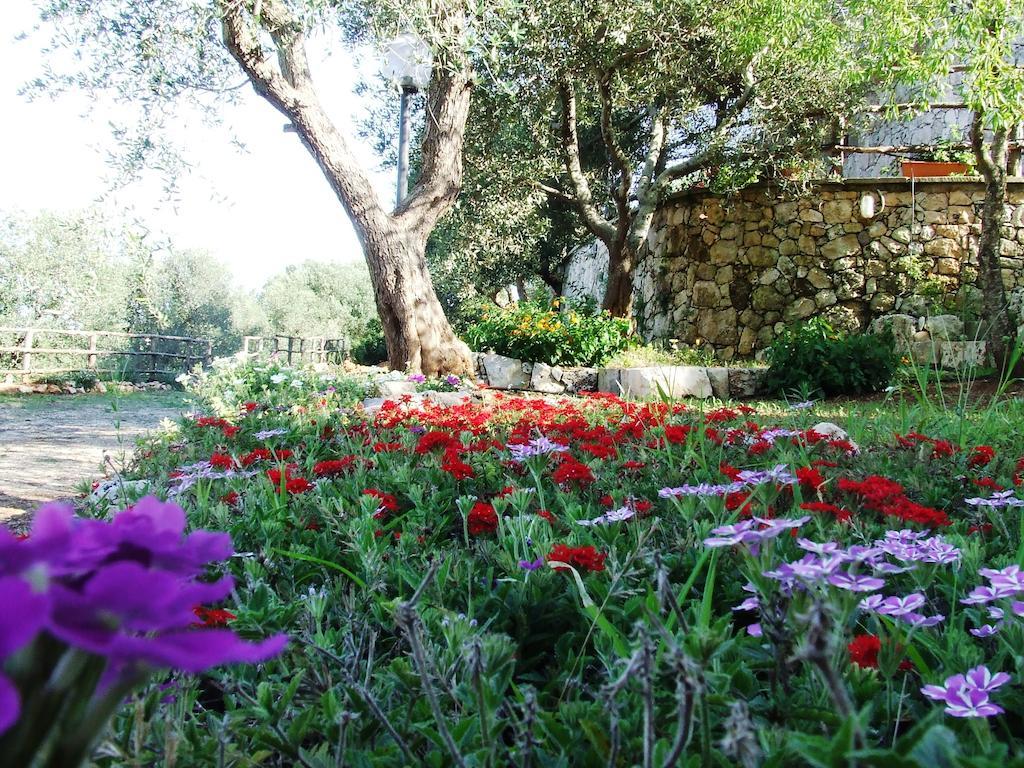 Residencefusaro Pajare سبيكيا المظهر الخارجي الصورة
